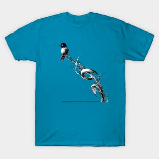 Hummingbird pen and ink T-Shirt